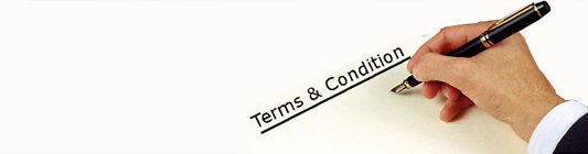 Terms and Conditions 